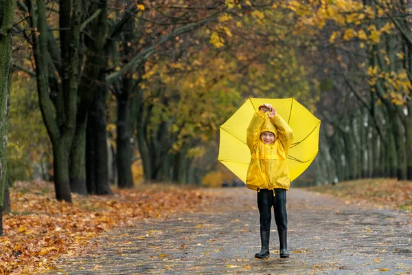Child walks in the rain in an autumn park with large yellow umbrella. Falling leaves.