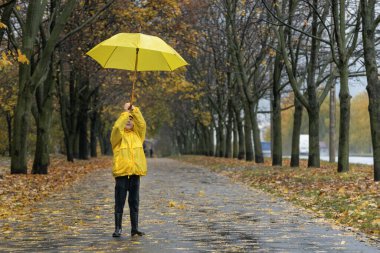 Küçük çocuk sonbahar parkında sarı şemsiyesini kaldırıyor. Düşen yapraklarla yağmurlu sokakta bir çocuk.