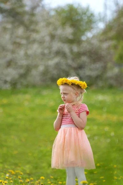 草地上一个戴着蒲公英花环的漂亮姑娘的画像 垂直框架 模糊的背景 — 图库照片