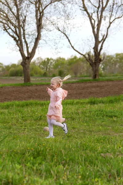 跑着的欧洲小女孩 金发碧眼 穿着粉红色的衣服 穿过田野或草地 垂直框架 — 图库照片