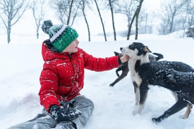 Çocuk kış parkında evcil köpeklerle oynuyor. Örgü şapkalı genç karda oturur ve melez köpeği okşar.