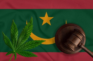 Yargıç tahta tokmak, Moritanya bayrağının arka planında taze kenevir yaprağı. Yasadışı esrar satışı ve dağıtımı.