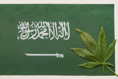 Suudi Arabistan 'ın büyük bayrağı ve taze kenevir yaprağı. Yasadışı tarım ve dağıtım. Tıbbi kullanım.