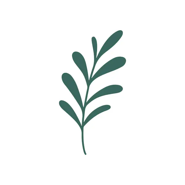 Hoja Rama Verde Botánica Elemento Diseño Floral Dibujado Mano Linda — Vector de stock