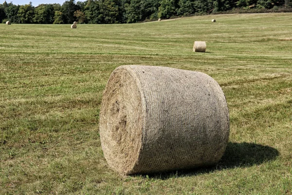 绿色草地上的大褐色圆筒稻草包 — 图库照片
