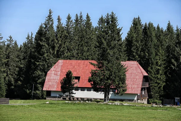 Gran Casa Remota Con Paredes Blancas Techo Rojo Junto Bosque —  Fotos de Stock