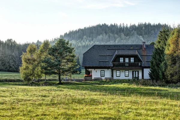 Abgelegenes Weißes Haus Mit Bäumen Garten Und Grünem Rasen Morgennebel — Stockfoto