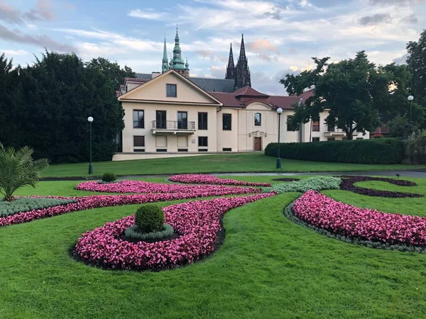 Prague castle gardens with pink flowers on the lawn