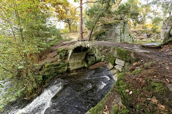 Παλιά Μεσαιωνική Πέτρινη Γέφυρα Πάνω Από Δάσος — Φωτογραφία Αρχείου
