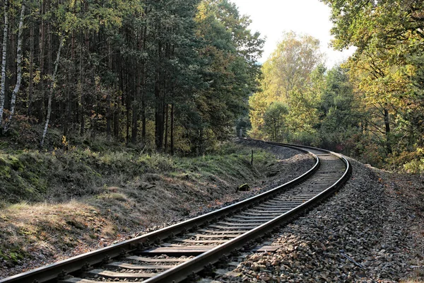 Αριστερή Καμπύλη Της Σιδηροδρομικής Γραμμής Στο Δάσος — Φωτογραφία Αρχείου