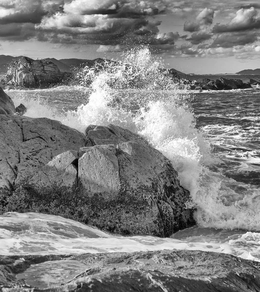 大西洋的汹涌大海冲击着庞塔 坎帕纳斯的岩石 弗洛里亚诺波利斯的阿玛考每隔几秒钟就会进行一次完美的摄影展览 — 图库照片