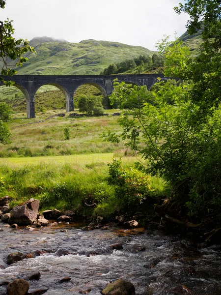Att Dyka Upp Träden Vår Första Bild Glennfinnan Viaduct — Stockfoto