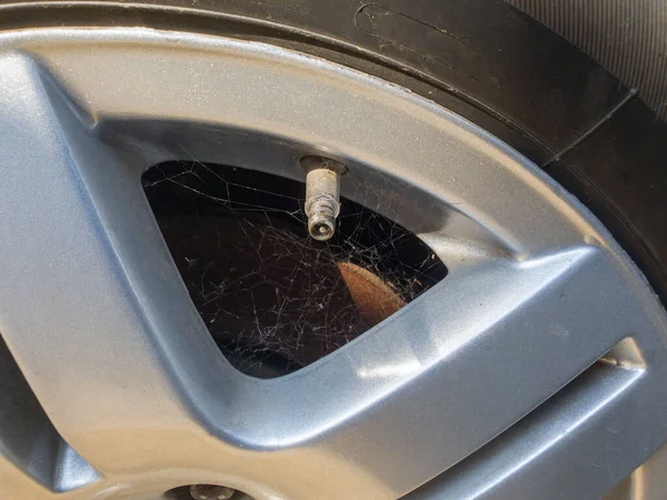 stock image Horizontal close up on a car tire which shows tire air nozzle poking through the rim and spider webs behind the rim on the brake pads. Car tire air nozzle on an old dirty wheel.