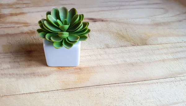 Close up on an artificial fake plastic potted plant on a wooden surface for decoration. Space for copy background.