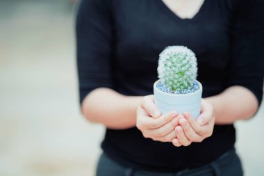 Siyah gömlek giyen bir kadın hediye olarak küçük bir kaktüs tutar..