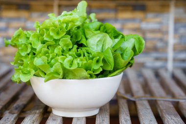 Lettuce is a plant that is commonly consumed fresh, eaten with salads and used to decorate dishes.