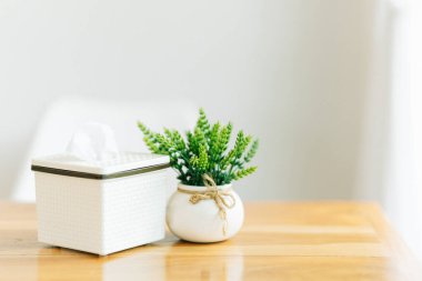 Küçük saksılarda hava temizleyici bitkiler bir masa dekore eder ve parlak pencere ışıklandırmaları olur. Ev dekorasyonu fikirleri.