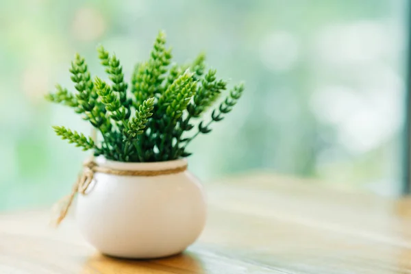 Plants in small pots decorate the table to give a fresh feeling. Home decorating ideas.