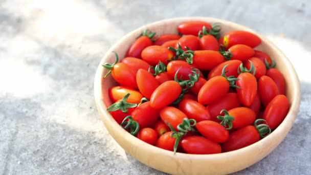 Pequeños Tomates Ciruela Variedad Solarino Solarino Holanda Árbol Fructífero Dulce — Vídeo de stock