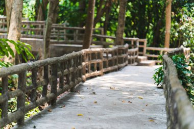 Ağaçlar ve yapraklarla çevrili, yemyeşil orman boyunca sakin patika rüzgarları esiyor. Kırsal ahşap korkuluklar bu sakin ortama cazibe katıyor, keşifleri ve doğayla bağlantıyı teşvik ediyor..