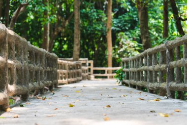 Ağaçlar ve doğa tarafından çevrelenmiş, yemyeşil orman boyunca uzanan sakin bir patika. Ahşap korkuluklar bu sakin sahneye kırsal bir cazibe katıyor, keşif ve huzur katıyor..