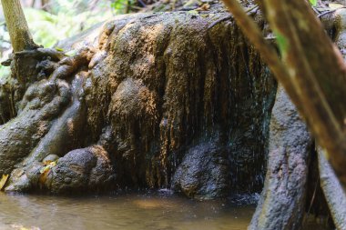 Bereketli yeşilliklerle çevrili, dokulu kayaların üzerinde sakin şelaleler doğal ortamda huzurlu bir atmosfer yaratıyor. Suyun yumuşak akışı sakin ortamı artırır..