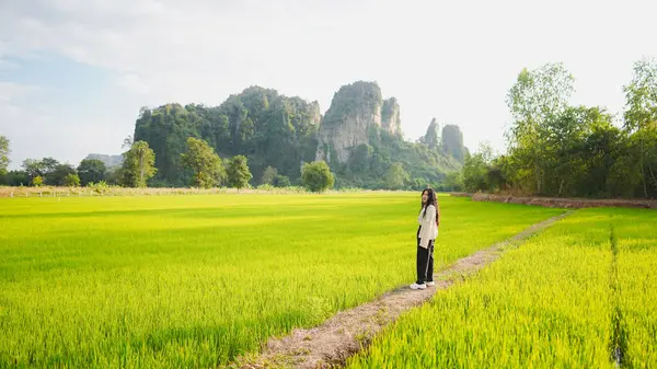 Berrak bir gökyüzünün altında yükselen kaya oluşumları ile çerçevelenmiş canlı yeşil pirinç tarlasında duran bir kişinin bulunduğu huzurlu bir manzara..