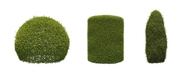 Beyaz arkaplanda izole edilmiş çalılıklar, 3 boyutlu illüstrasyon, cg canlandırma