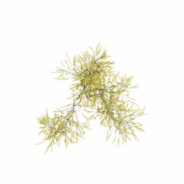 Beyaz arkaplanda izole edilmiş çalılıklar, 3 boyutlu illüstrasyon, cg canlandırma