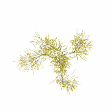 Beyaz arkaplanda izole edilmiş çalılıklar, 3 boyutlu illüstrasyon, cg canlandırma