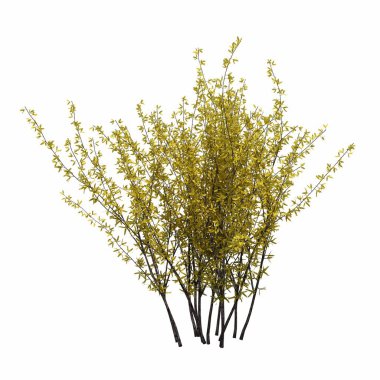 Beyaz arkaplanda izole edilmiş çalılıklar, 3 boyutlu illüstrasyon, cg canlandırma