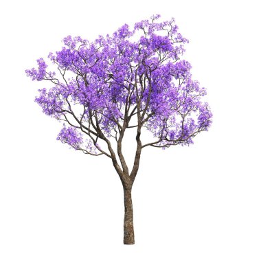 Yaprak döken ağaçlar, beyaz arkaplanda izole edilmiş, 3 boyutlu illüstrasyon, cg canlandırma