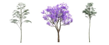 Yaprak döken ağaçlar, beyaz arkaplanda izole edilmiş, 3 boyutlu illüstrasyon, cg canlandırma