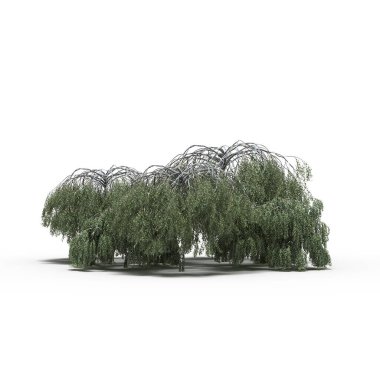 Beyaz arkaplanda gölgeli ağaç grubu, 3 boyutlu illüstrasyon