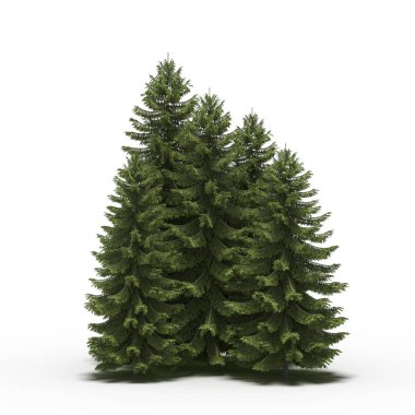 Beyaz arkaplanda gölgeli ağaç grubu, 3 boyutlu illüstrasyon