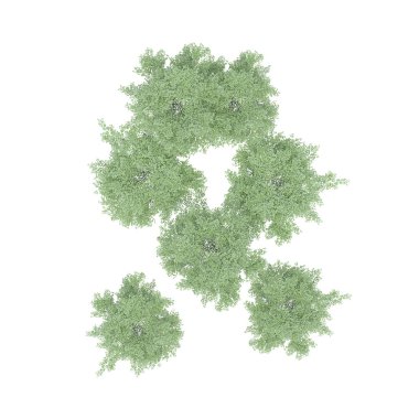 Ağaç grubu, üst görünüm, beyaz arkaplanda izole edilmiş, 3 boyutlu illüstrasyon 