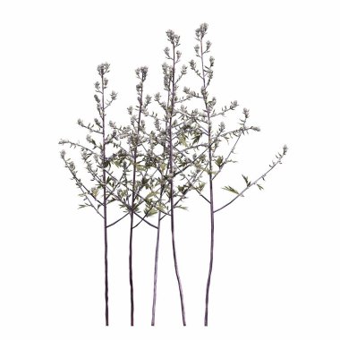 3d rendered floral illustration isolated on white