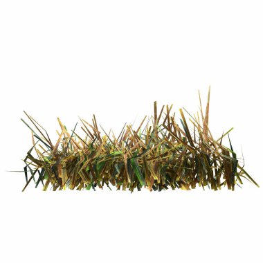 3d rendered floral illustration isolated on white