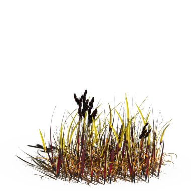 3d rendered floral illustration isolated on white