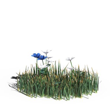 3d rendered floral illustration isolated on white