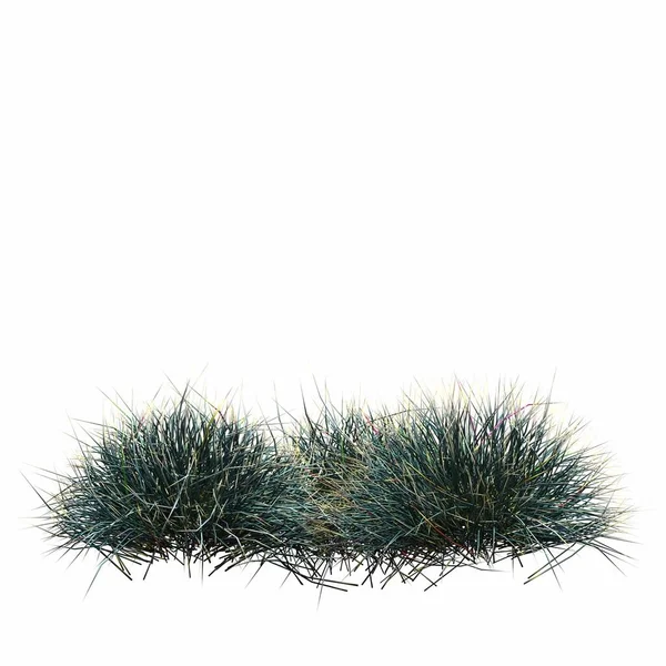 3d rendered floral illustration isolated on white