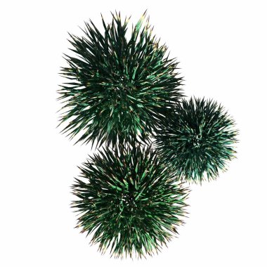 wild field grass, top view, isolated on white background, 3D illustration, cg render