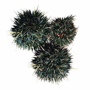 wild field grass, top view, isolated on white background, 3D illustration, cg render