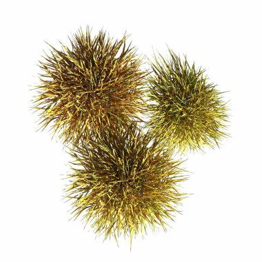 wild field grass, top view, isolated on white background, 3D illustration, cg render