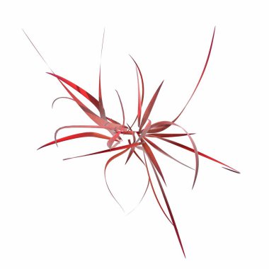 wild field grass, top view, isolated on white background, 3D illustration, cg render