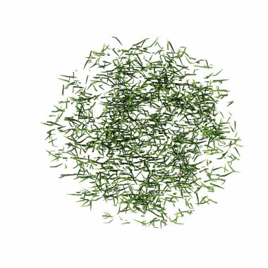 wild field grass, top view, isolated on white background, 3D illustration, cg render