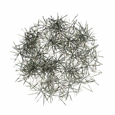 wild field grass, top view, isolated on white background, 3D illustration, cg render