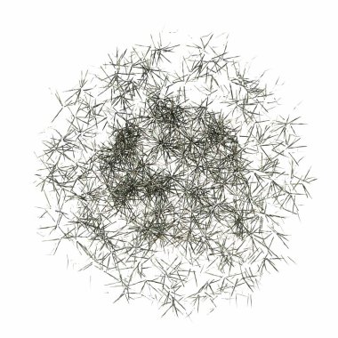 wild field grass, top view, isolated on white background, 3D illustration, cg render