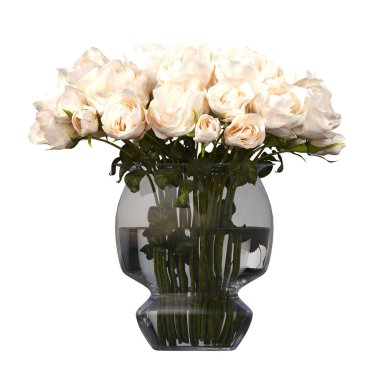 decorative flowers and plants for the interior, isolated on white background, 3D illustration, cg render