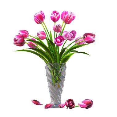 decorative flowers and plants for the interior, isolated on white background, 3D illustration, cg render